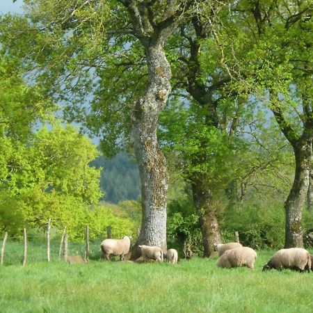 Вилла Maison De Campagne Ideale Pour Familles, Cavaliers, Animaux Acceptes, Avec Jardin Clos Et Tout Equipe. - Fr-1-489-172 Barrais-Bussolles Экстерьер фото